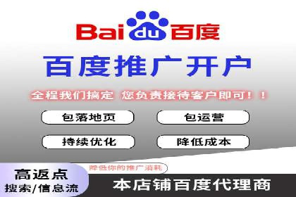 竞价推广策略：某电商平台的成功之路